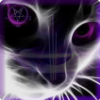 D291c1 se catz video logor