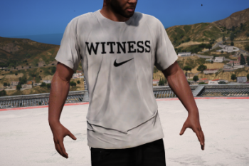2e6080 witnessw1