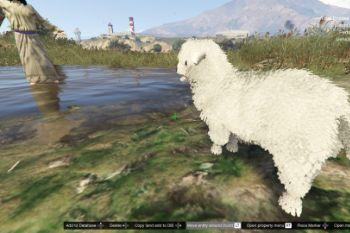 D071b5 lamb1