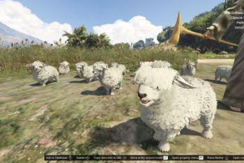 D071b5 lamb3