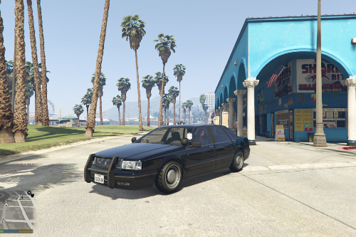 Albany Primo FIB [Replace]