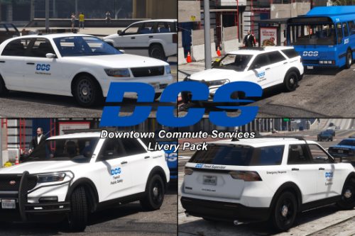 Downtown Commute Services Livery Pack