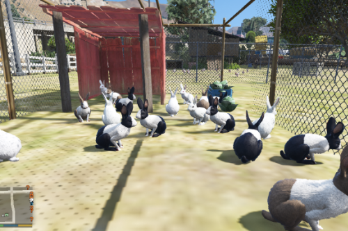 New textures for Rabbit