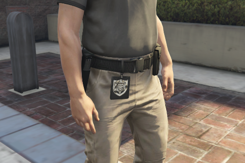 Portuguese PSP/PJ Badges