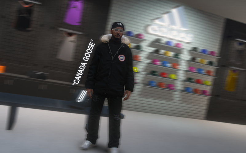 Ff337a canadagoose